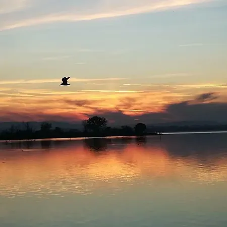 Trasimeno *
